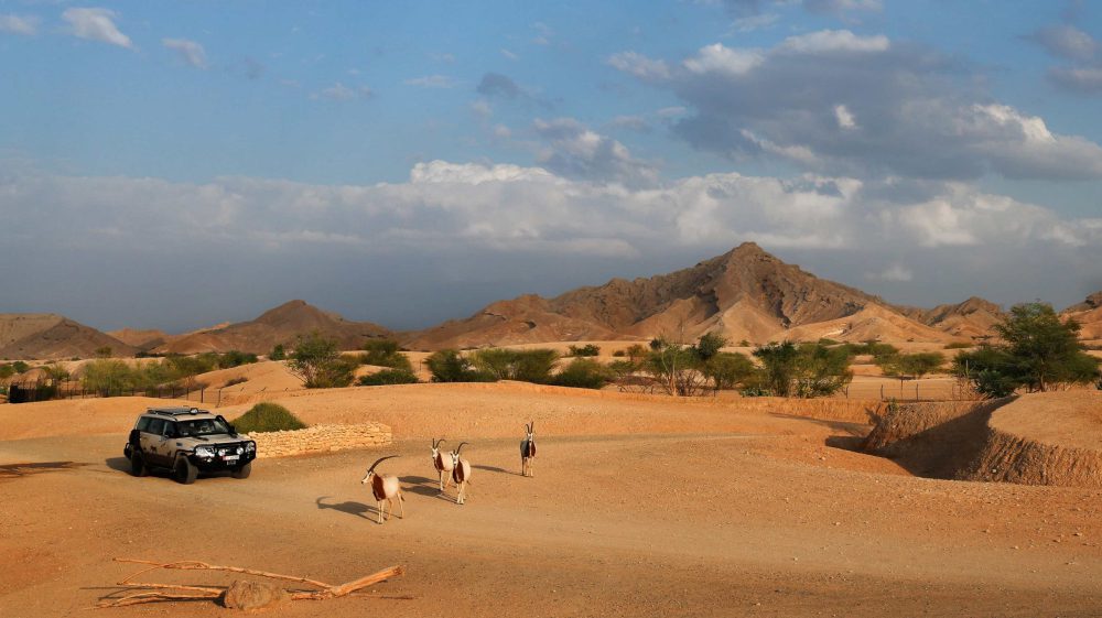 Iran diamonds tour, matin abad desert